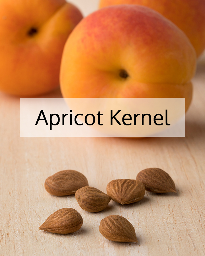 Apricot kernel seeds with fresh apricots in the background, highlighting apricot kernel as a gentle, nourishing botanical ingredient used in ORY Skincare formulations.