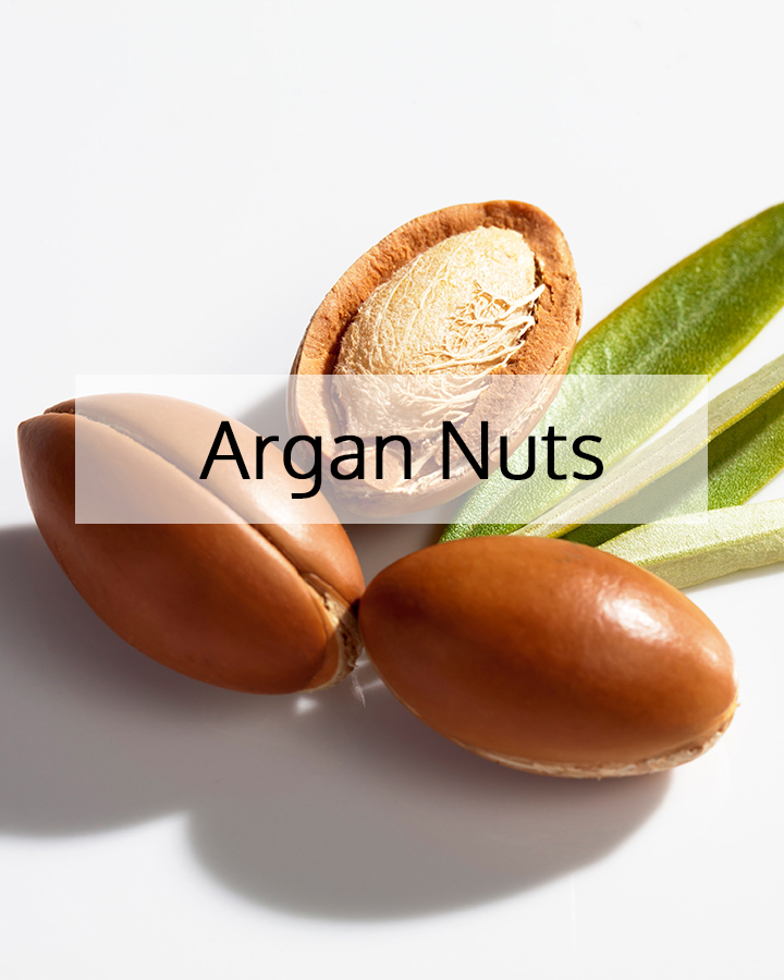 Argan nuts with cracked shell and green leaves, representing ORY Skincare’s use of argan as a nutrient-rich botanical ingredient known for nourishing, hydrating, and protecting the skin.