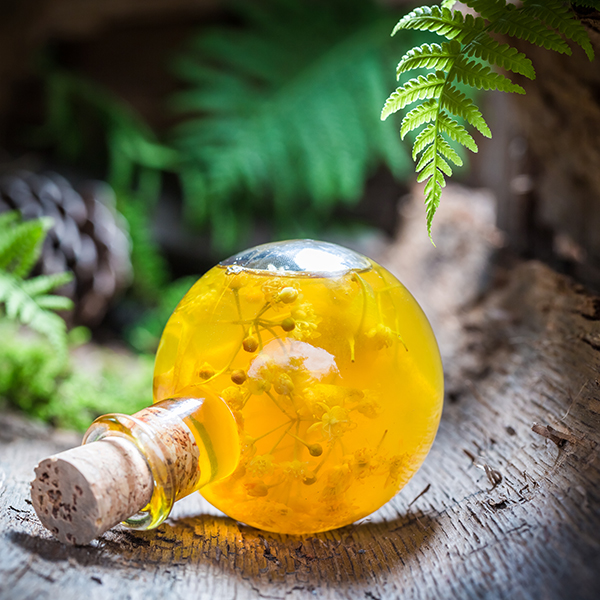Glass bottle of golden botanical-infused oil resting on natural wood with fern leaves, representing ORY Skincare’s traditional botanical infusion process using herbs and plant extracts.