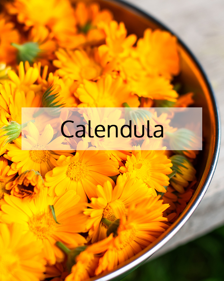 Fresh calendula flowers in a bowl, representing ORY Skincare’s use of calendula as a soothing botanical ingredient known for calming sensitive skin and supporting skin repair.