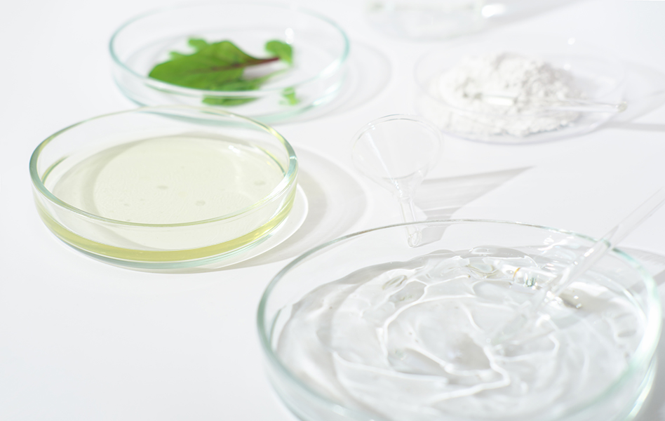 Glass laboratory dishes containing emulsified skincare formulas, oil and water phases blended through emulsifier science for stable botanical skincare formulations.