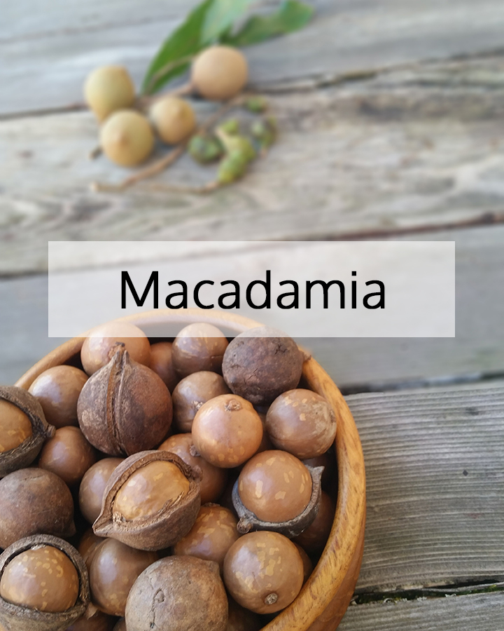 Macadamia nuts in a wooden bowl on a natural wood surface, representing macadamia nut oil used as a nourishing, skin-softening ingredient in ORY Skincare formulations.