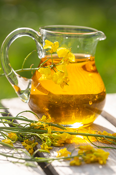 Golden rapeseed oil in a glass pitcher with yellow blossoms, illustrating naturally derived plant oils used in emulsifier science for skincare formulations.