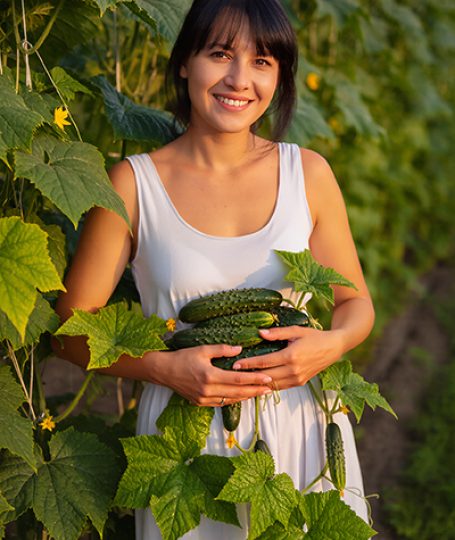 Woman holding fresh cucumbers in a garden — cucumber extract hydrating and soothing skincare ingredient for ORY Skincare.